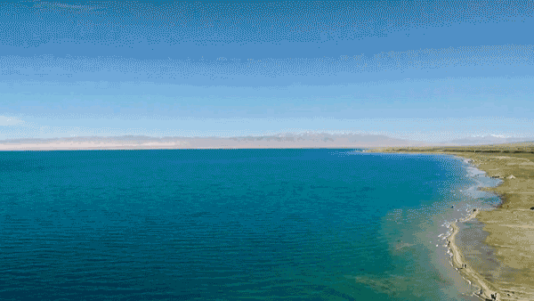 【朗诵专区】心愿