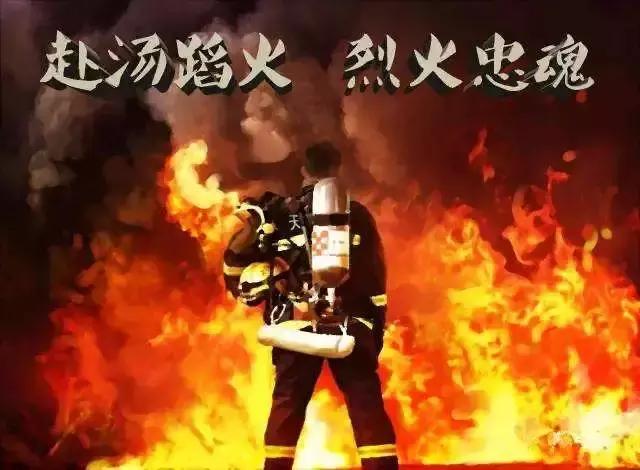 枫叶下的玫瑰【文声汇影】