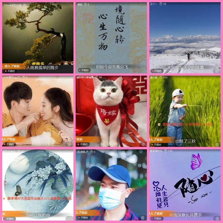 惜缘🎤V娱热点