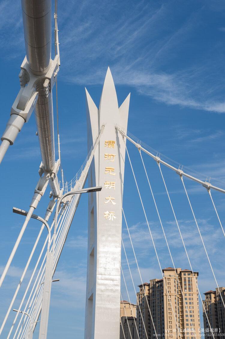 2021年8月27日去拍西安奥体中心.路过渭河元朔大桥就拍了几张.