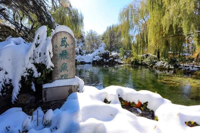 济南的冬天作者老舍成寿寺街道成寿寺社区朗诵班