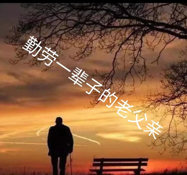 小浅🎤V娱热点