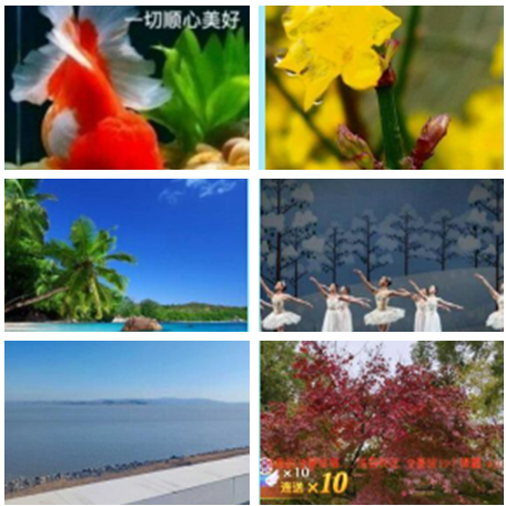 小朵🎤V娱热点