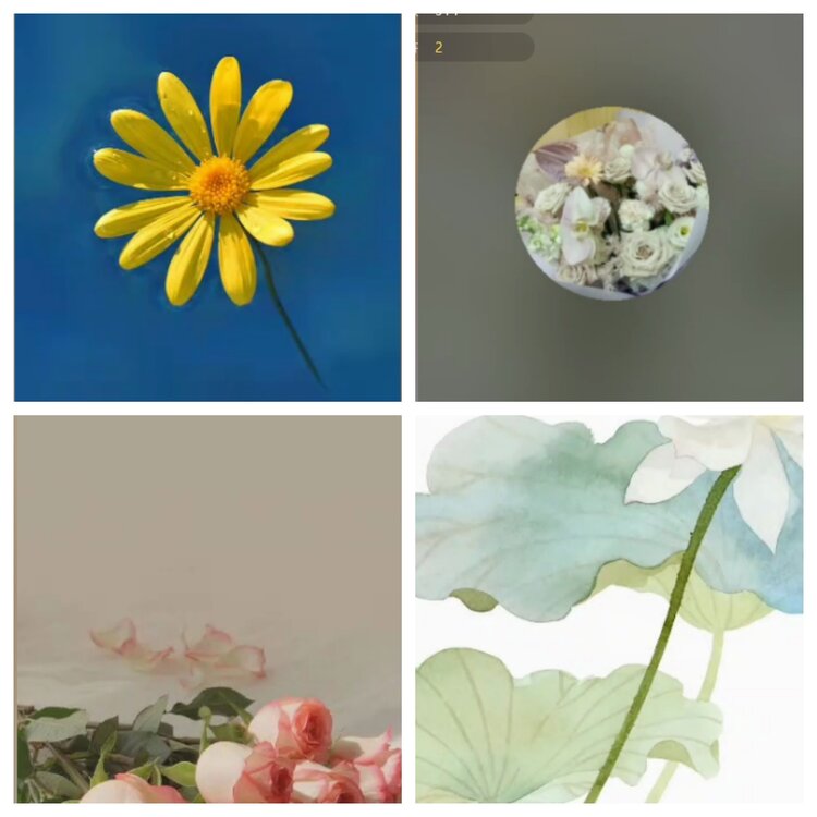 小六🎤V娱热点