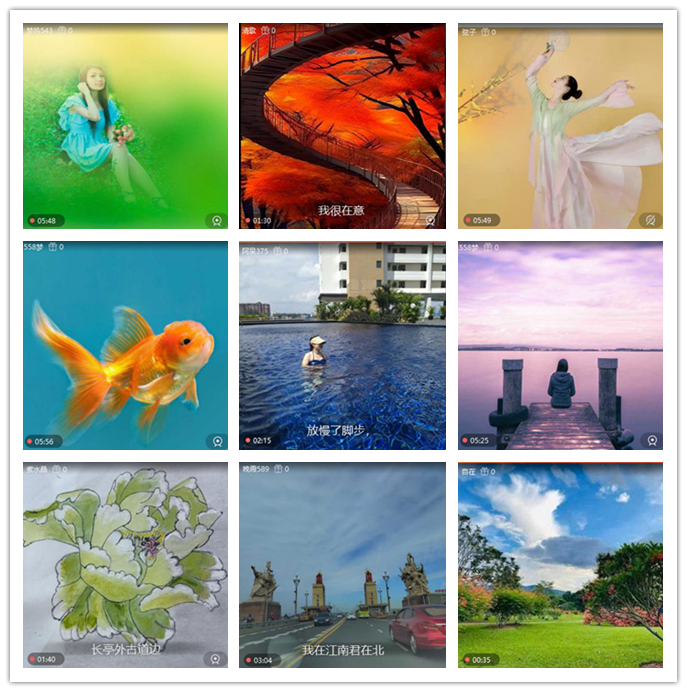 听云🎤V娱热点