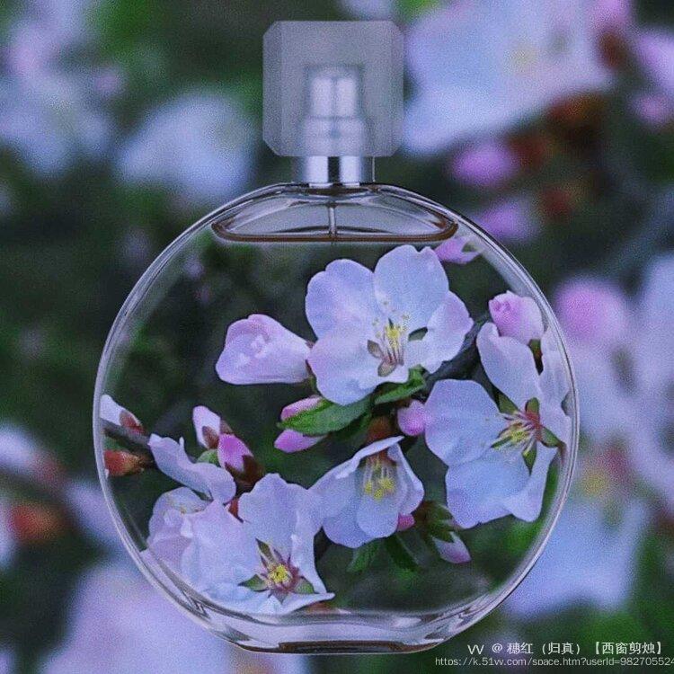 穗红（归真）【西窗剪烛】