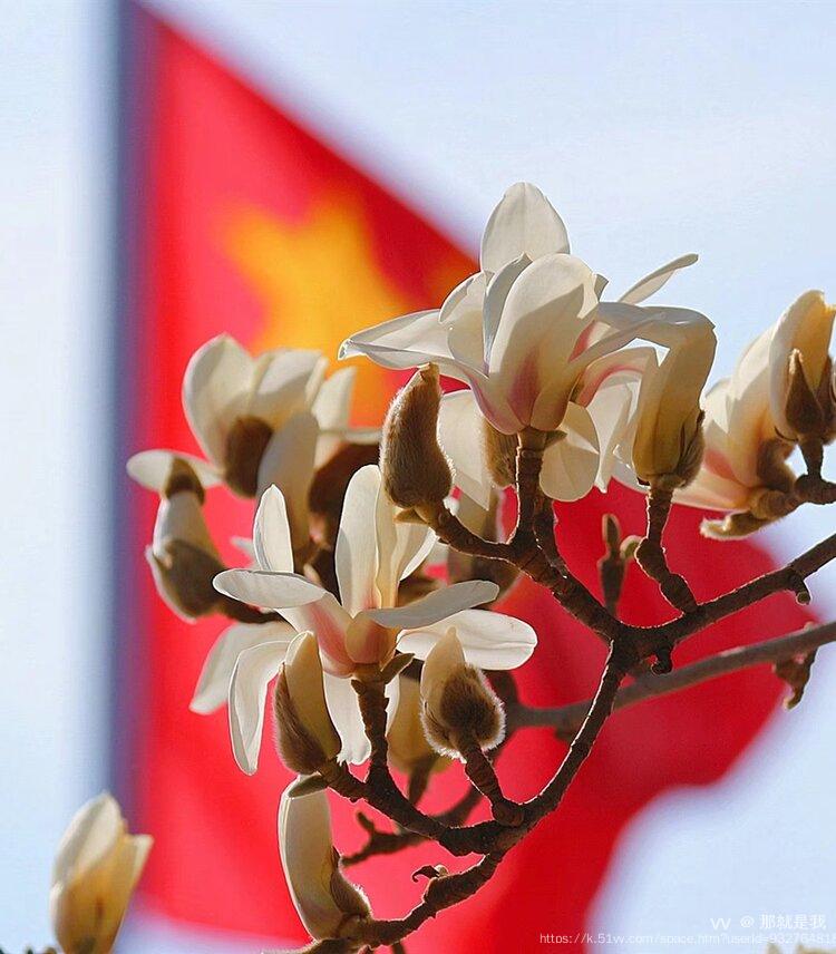 那就是我