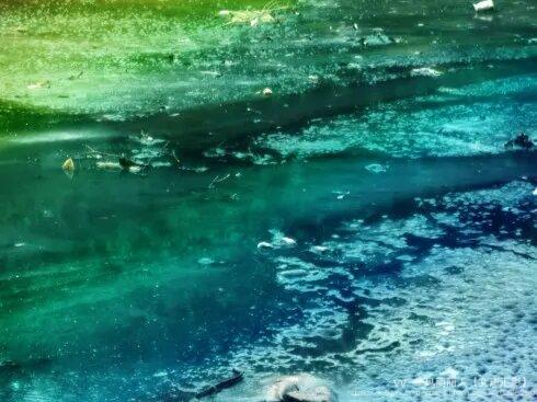 风雨丽人【文声汇影】