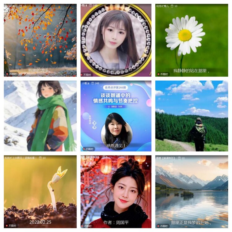 海燕🎤V娱热点