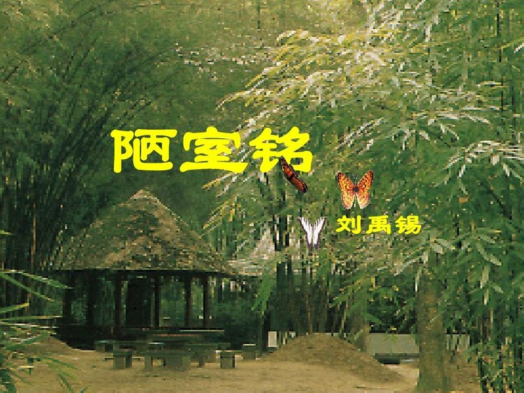 书瑶