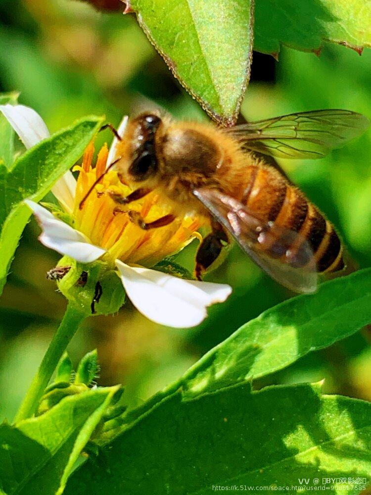 🎸BY💫双影恋🌺