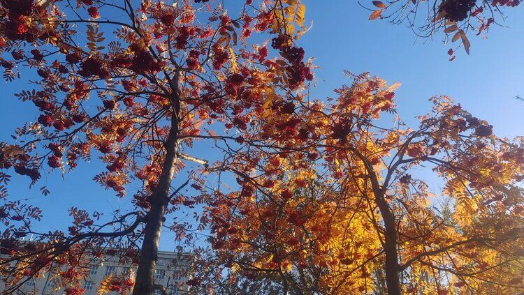 雪儿🎤V娱热点