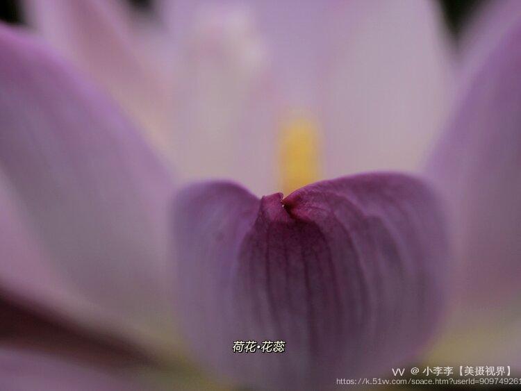 小李李【美摄视界】