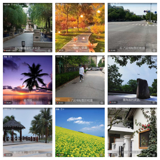 芯薇🎤V娱热点