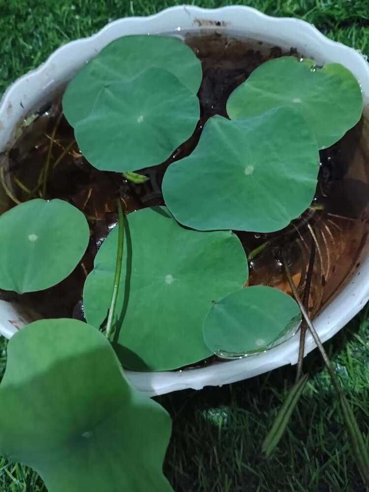 小浅🎤V娱热点