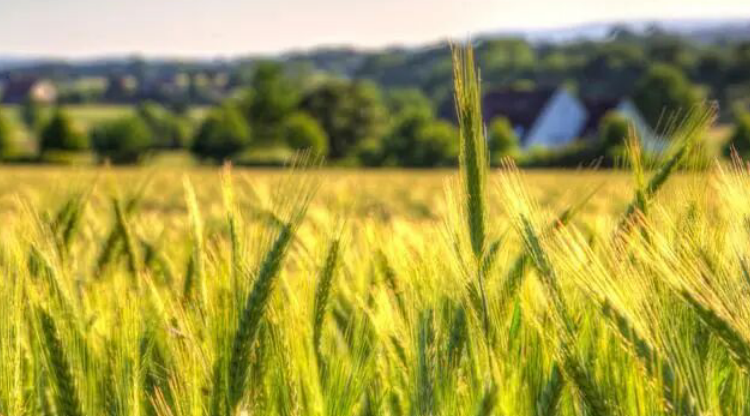 雪儿🎤V娱热点