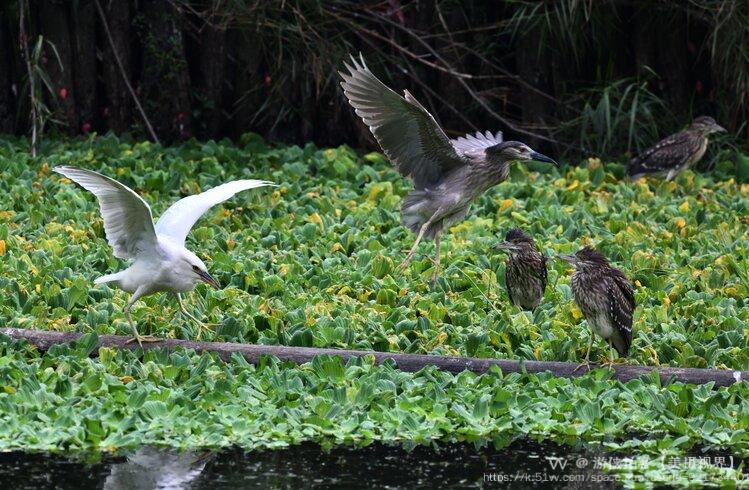 游侠拍客【美摄视界】