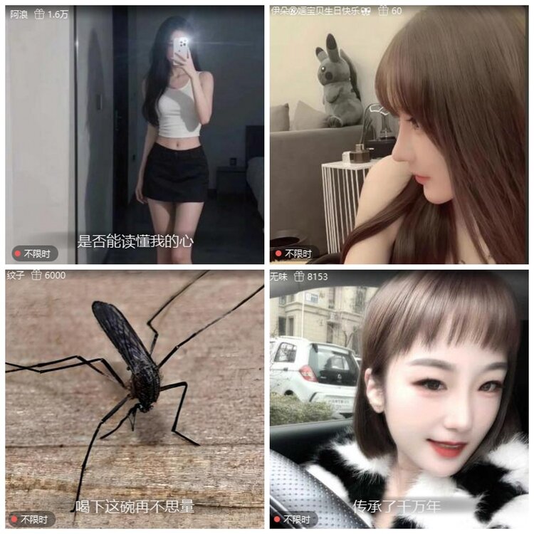 墨馨儿🎤V娱热点