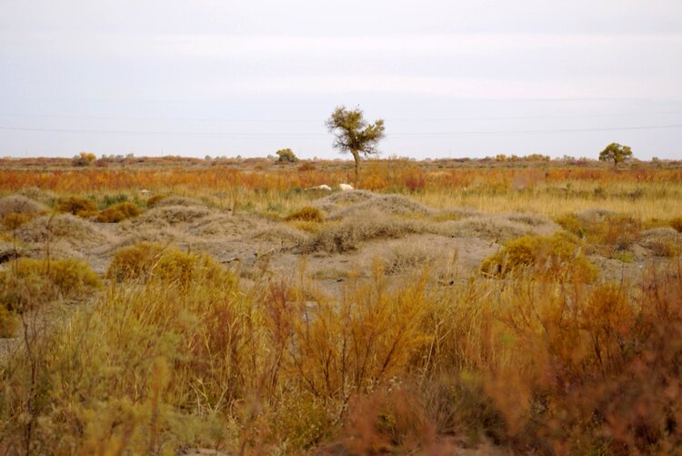 一空万有【美摄视界】