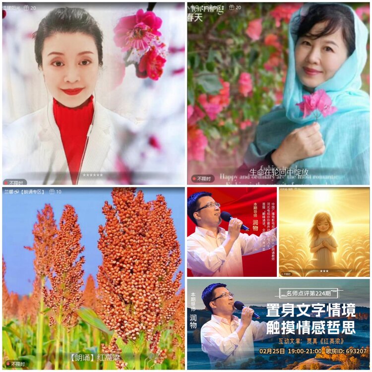 无言🎤V娱热点