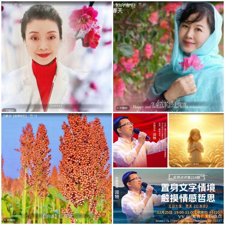 无言🎤V娱热点