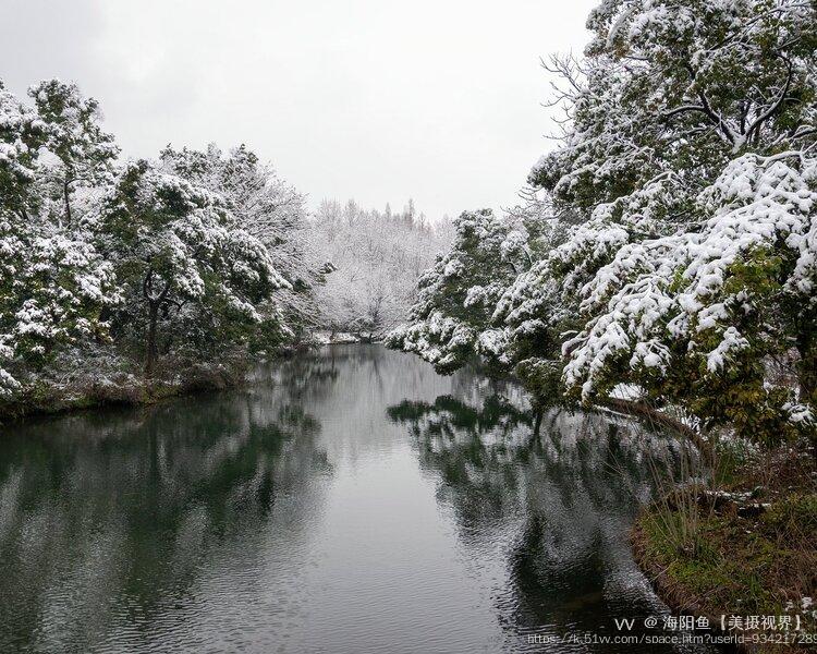 海阳鱼【美摄视界】