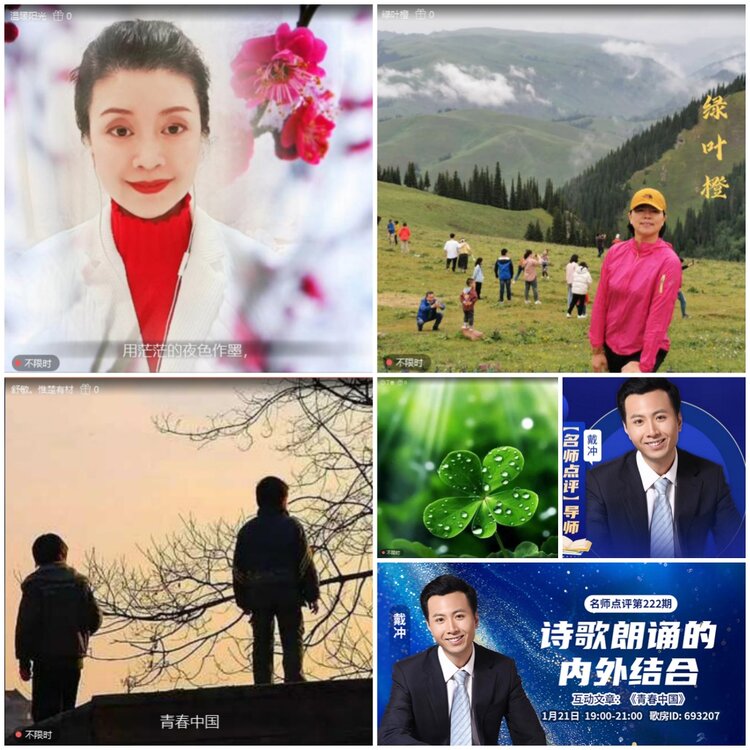 无言🎤V娱热点