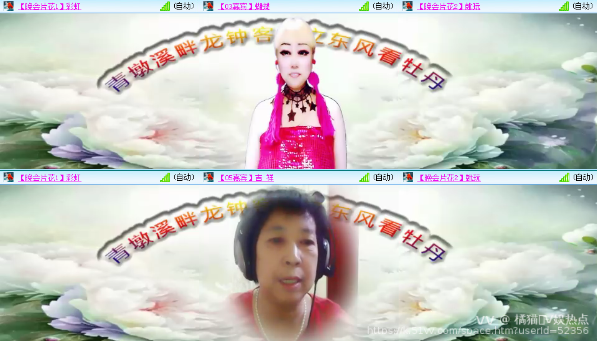 橘猫🎤V娱热点