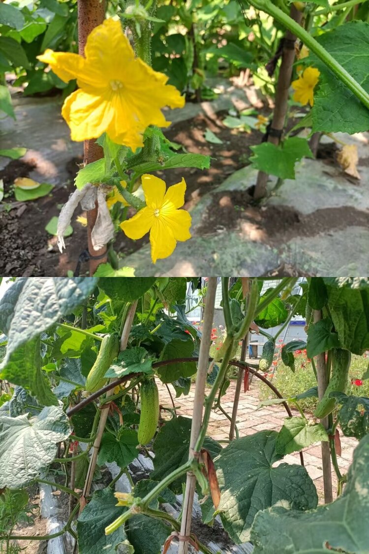 海燕🎤V娱热点