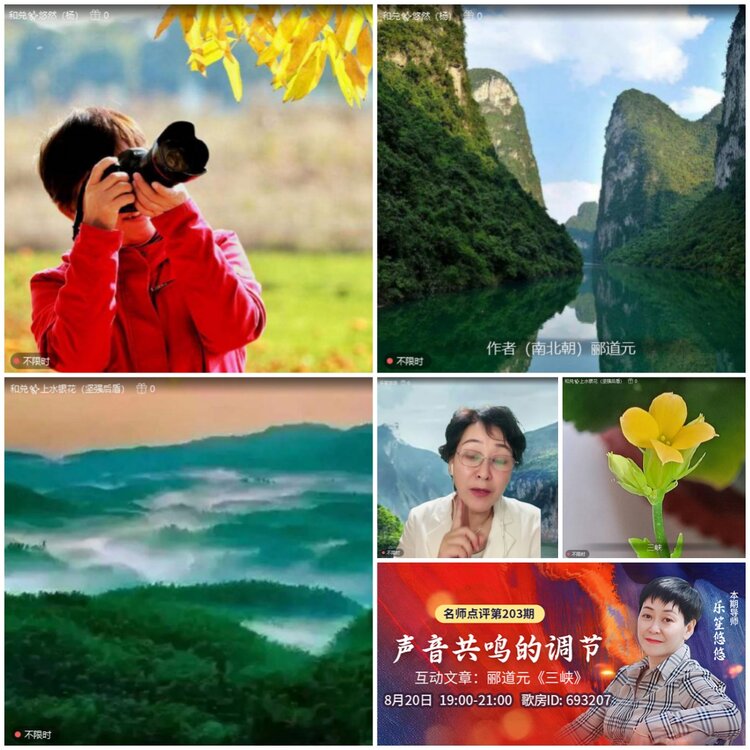 无言🎤V娱热点