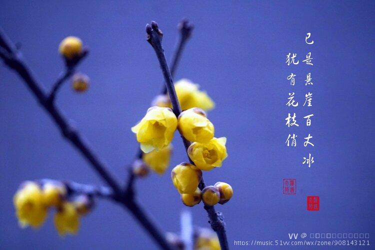 已是悬崖百丈冰犹有花枝俏