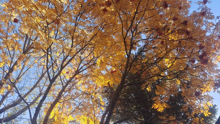 雪儿🎤V娱热点