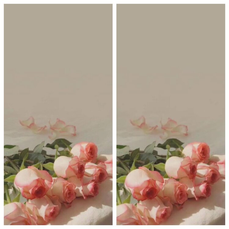 心玫🎤V娱热点