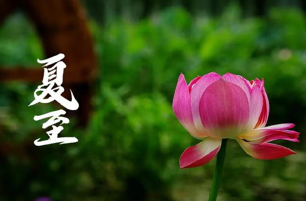 雪儿🎤V娱热点