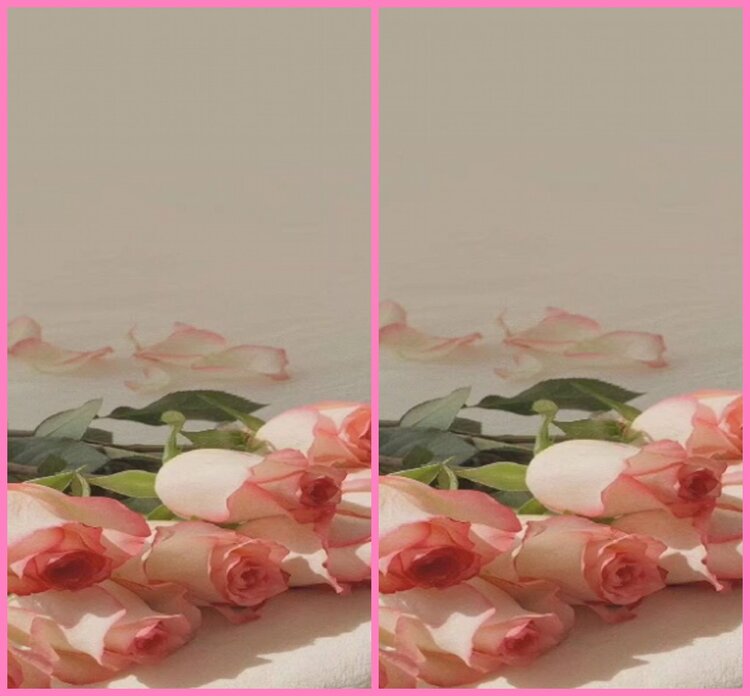 惜缘🎤V娱热点