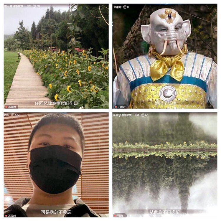 苏苏🎤V娱热点