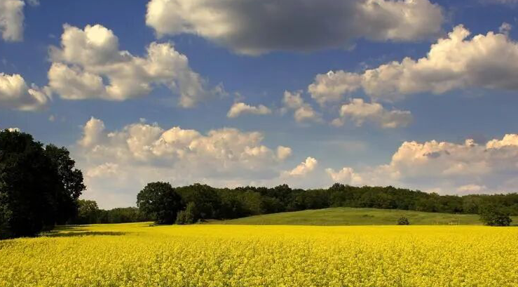 雪儿🎤V娱热点