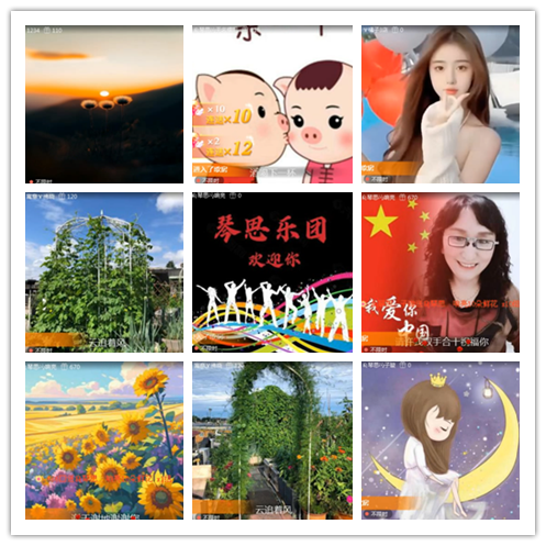 淡然🎤V娱热点