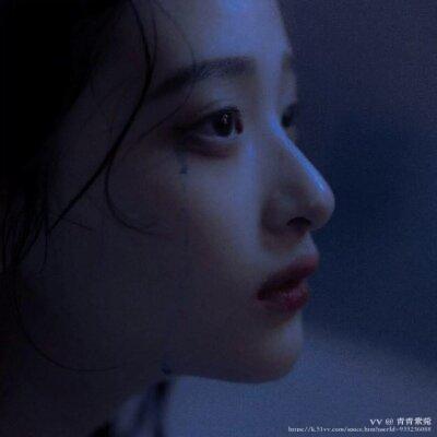 青青紫菀