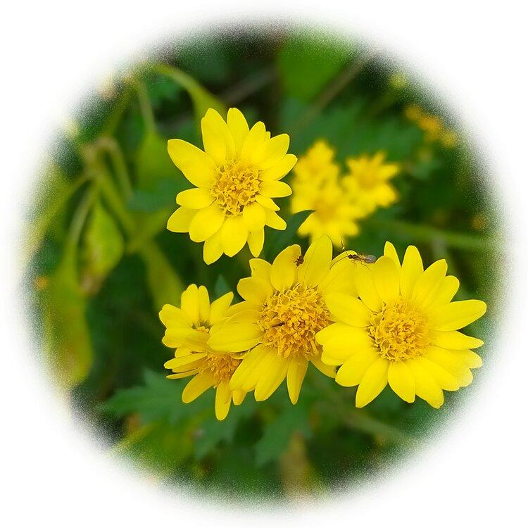 冷暖自知【情暖天涯】