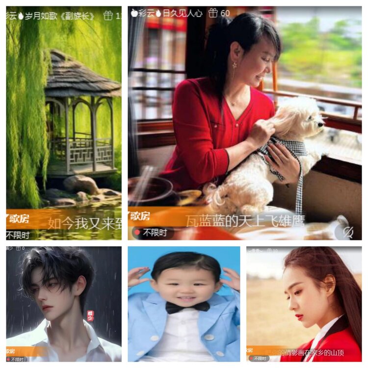 海燕🎤V娱热点