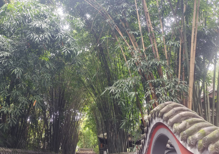 雪儿🎤V娱热点