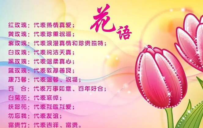 雪儿🎤V娱热点