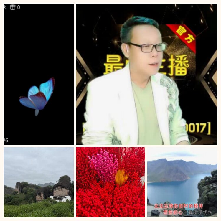 落雪🎤V娱热点