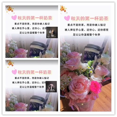 梅香🎤V娱热点