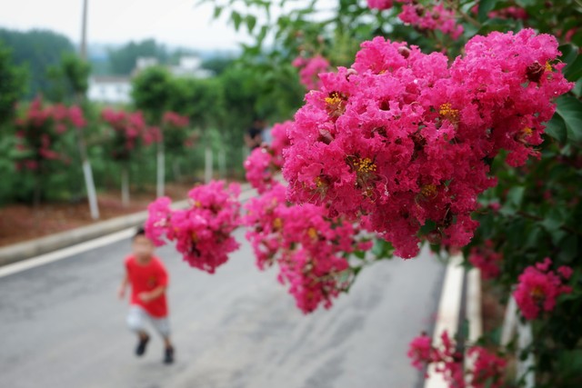 小浅🎤V娱热点