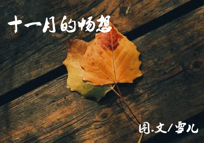 雪儿🎤V娱热点