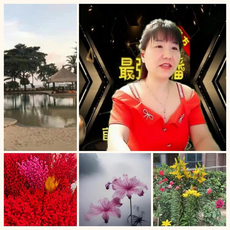 落雪🎤V娱热点