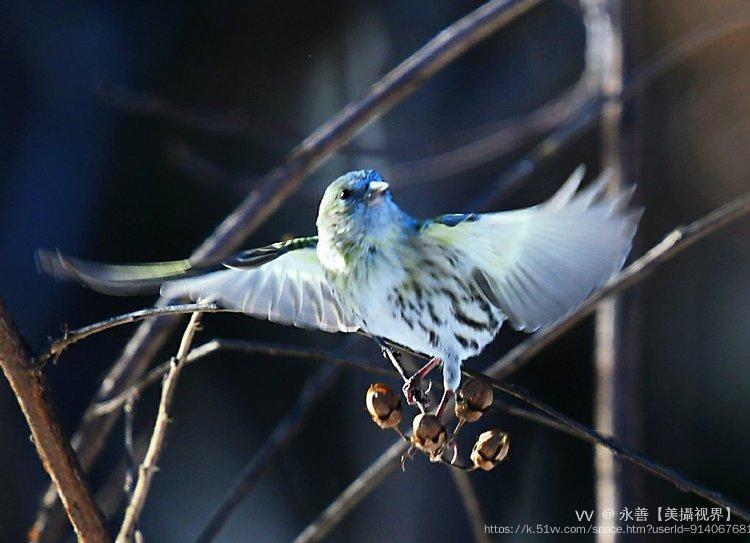 永善【美攝视界】 
