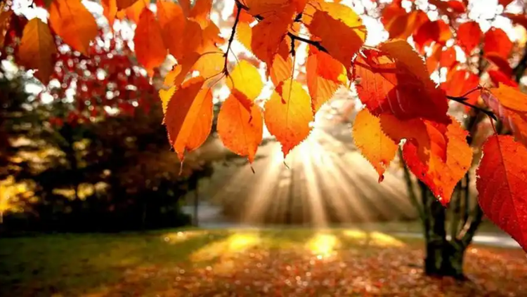 雪儿🎤V娱热点